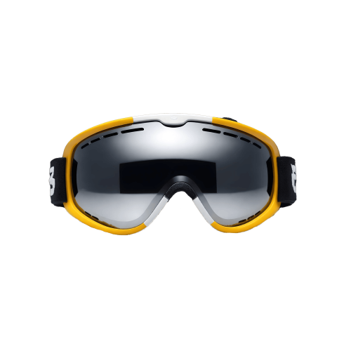 Ski Goggles 08
