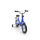 Cobalt Blue Bike with Training Wheels
