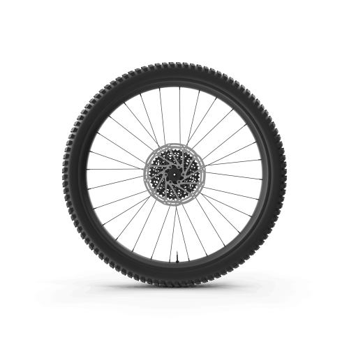 Rear Bike Wheel