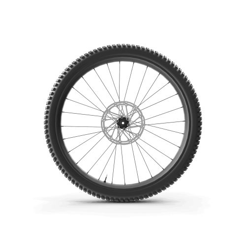 Mountain Bike Wheel 01