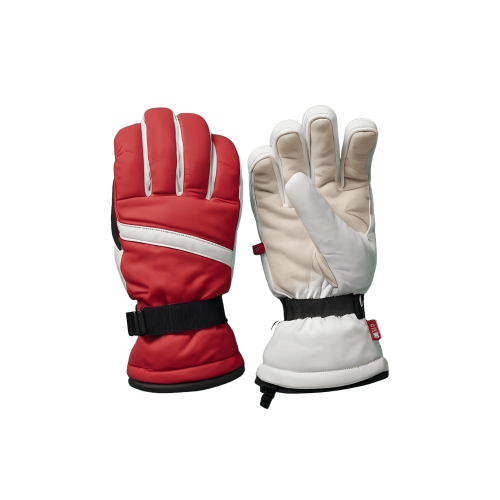 Ski Gloves 05