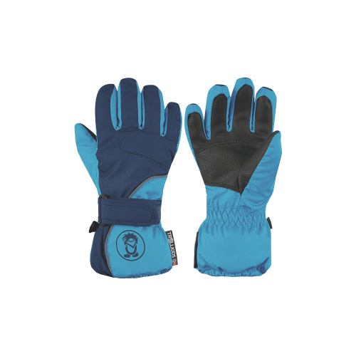 Ski Gloves 03